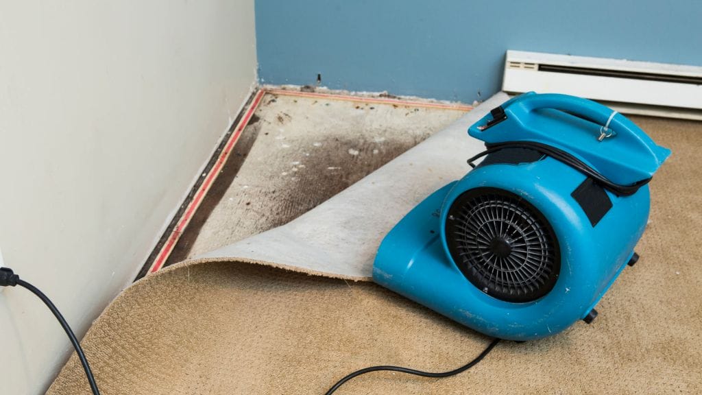 water damage restoration equipment