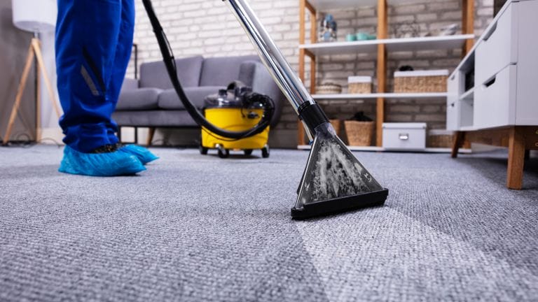 carpet Steam cleaning