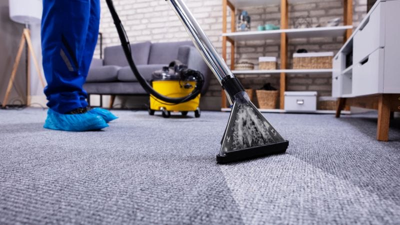 carpet Steam cleaning