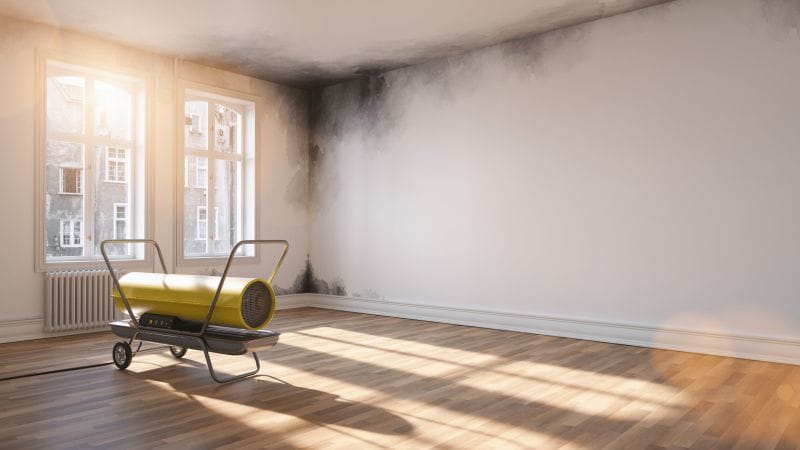 how to get rid of mould after flooding