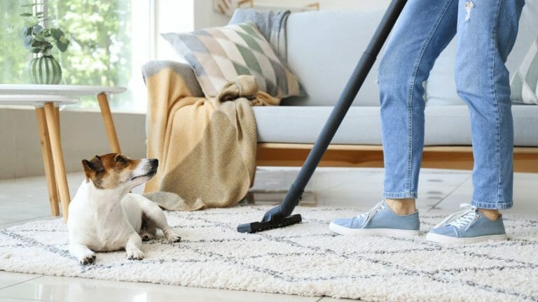 benefits of professional carpet cleaning service